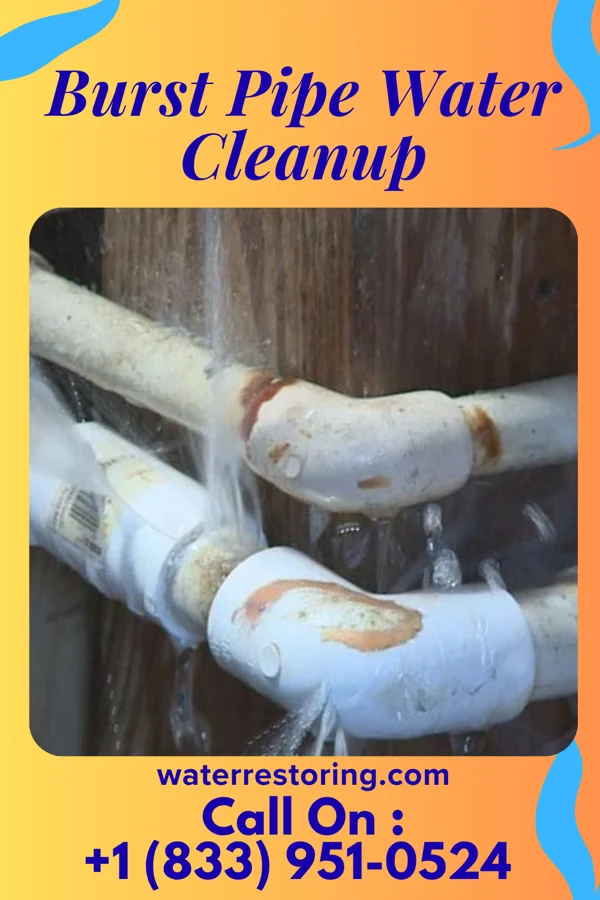 Burst Pipe Water Cleanup in Pleasantville, OH