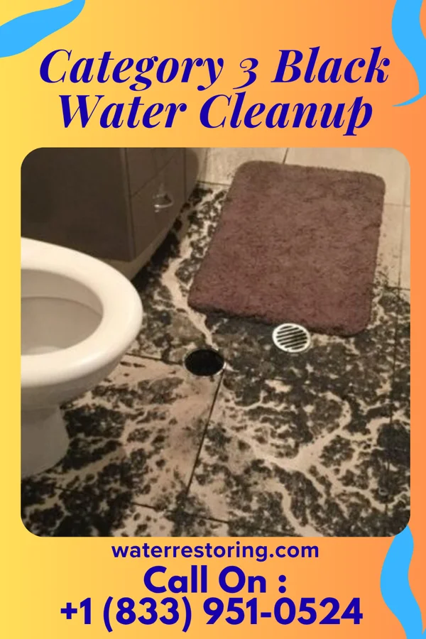 Category 3 Black Water Cleanup in Pleasantville, OH