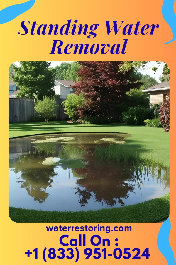 Standing Water Removal in Pleasantville, OH